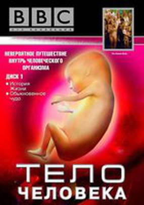 BBC: Тело человека BBC: Тело человека