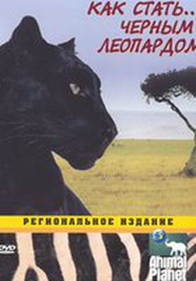 Animal Planet: Как стать... Animal Planet: Как стать...