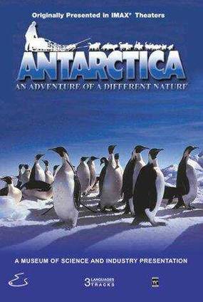 Antarctica Antarctica
